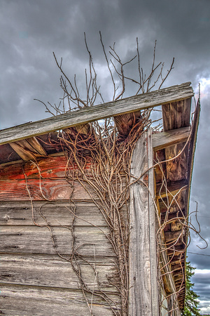 Abandoned Farm Shed Detail
